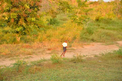 DSC_4260 (Large).JPG